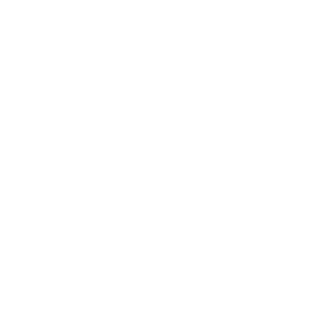 Icon Geld