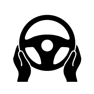 Icon Fahrt